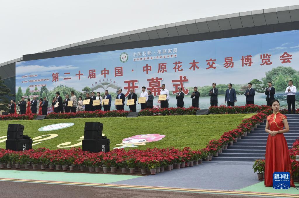 mg游戏中心下载